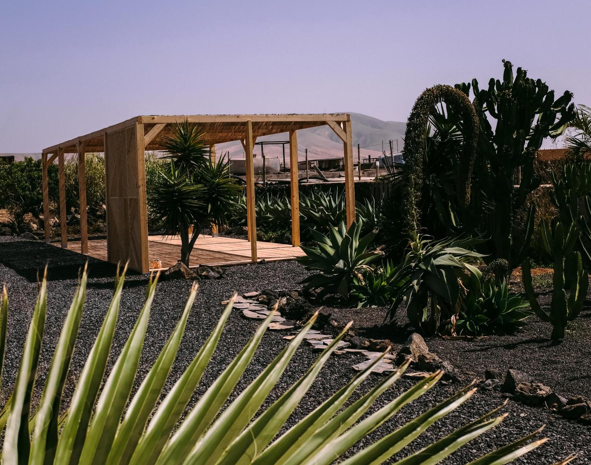 Surf & Yoga Retreats Fuerteventura Hotel Roque Exterior photo